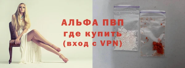 прущие грибы Балабаново