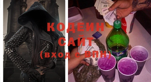 прущие грибы Балабаново