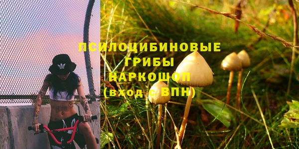 прущие грибы Балабаново
