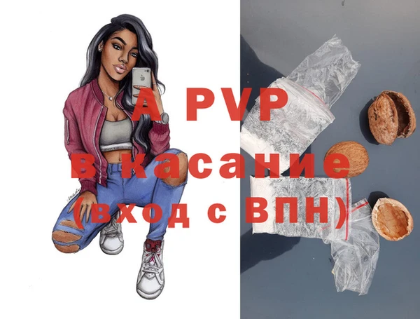 прущие грибы Балабаново
