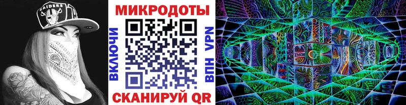 Галлюциногенные грибы Psilocybine cubensis  Шагонар 