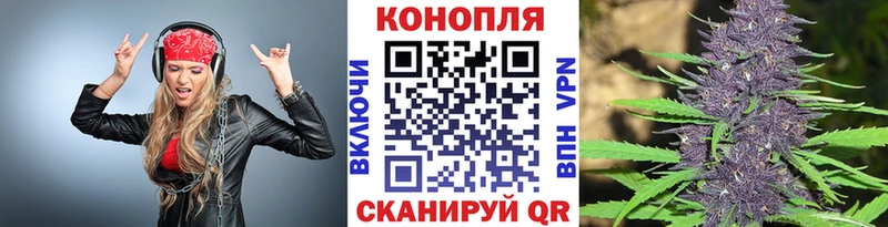 ОМГ ОМГ ССЫЛКА Шагонар Бошки марихуана сатива